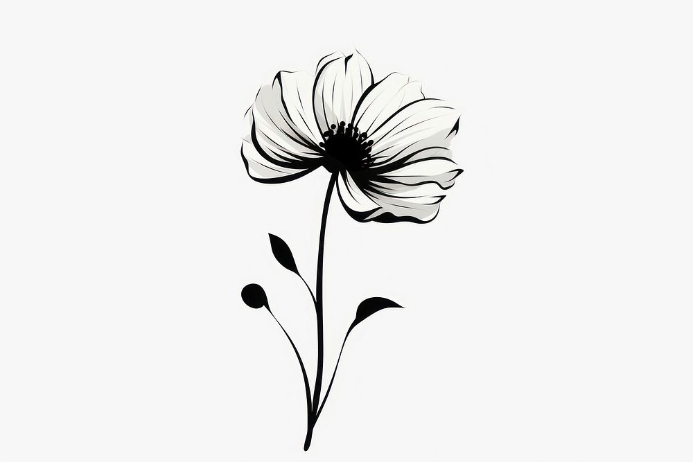 A flower silhouette art illustrated asteraceae.