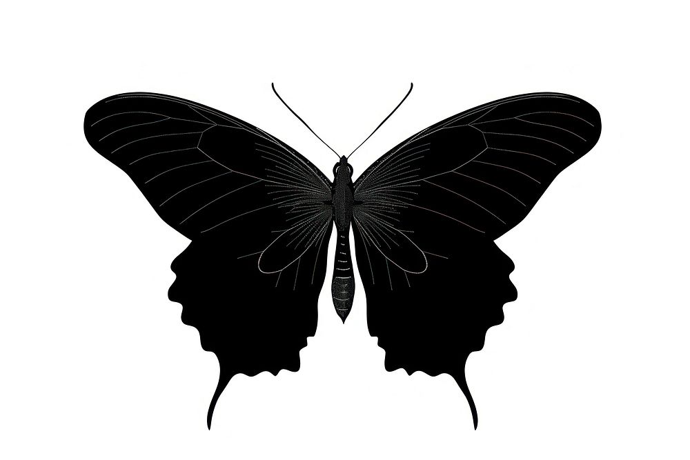 Butterfly silhouette invertebrate stencil person.