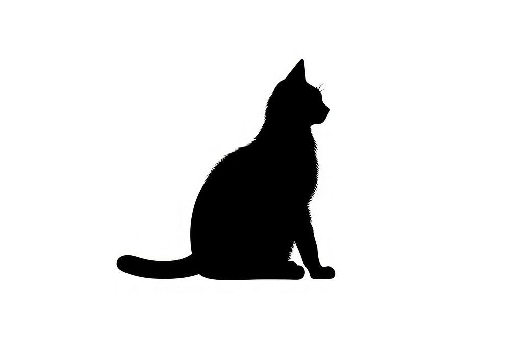 Cat silhouette animal mammal pet.