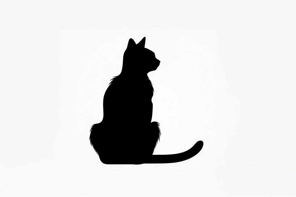 Cat silhouette animal mammal pet.
