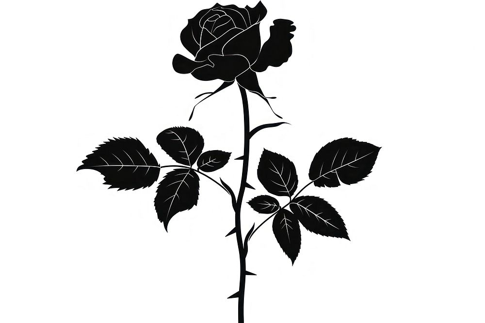 Rose silhouette stencil plant leaf.