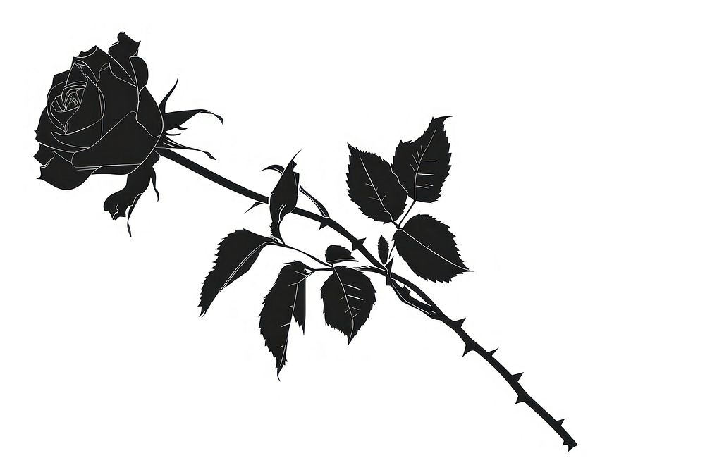 Rose silhouette blossom stencil flower.