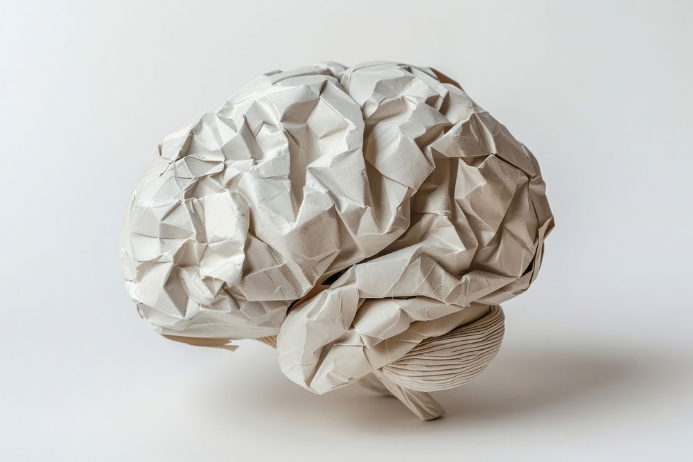 Brain in style of crumpled paper clothing apparel.