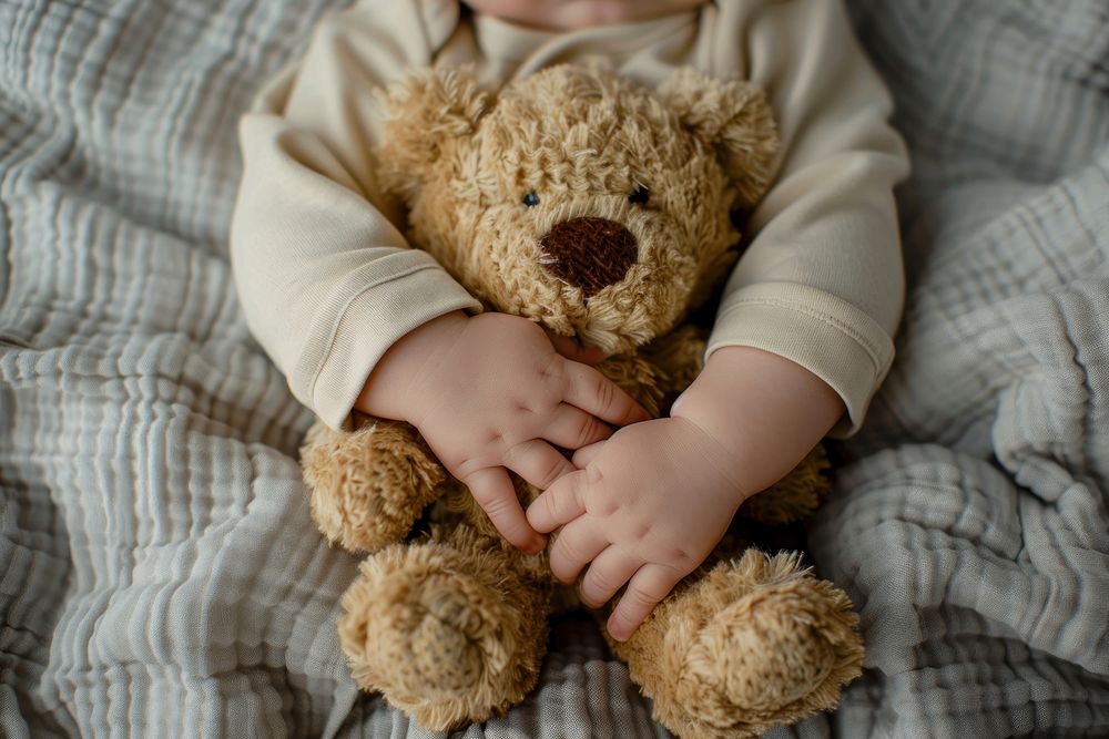 Baby hands baby teddy bear furniture.