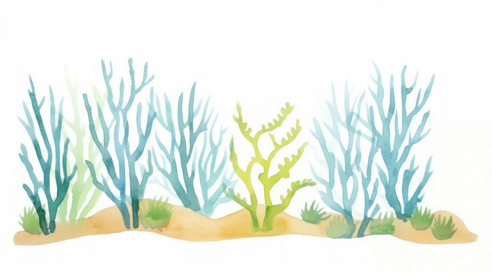 Coral reef as divider watercolor illustrated vegetation painting.