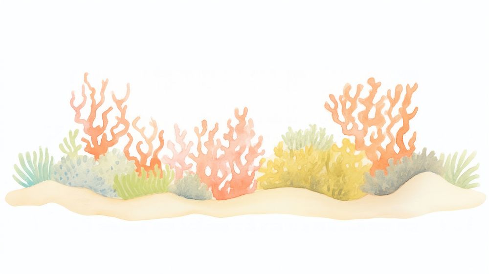 Coral reef as divider watercolor invertebrate outdoors painting.