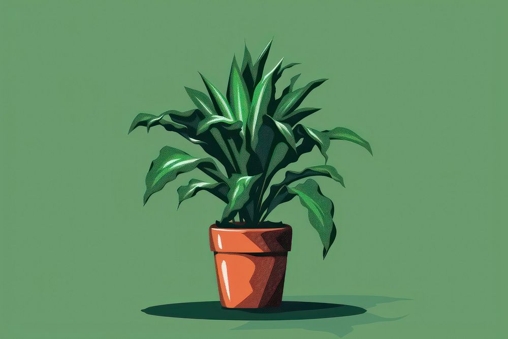 Houseplant potted plant.