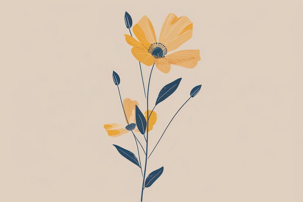 Wildflower illustrated asteraceae painting.