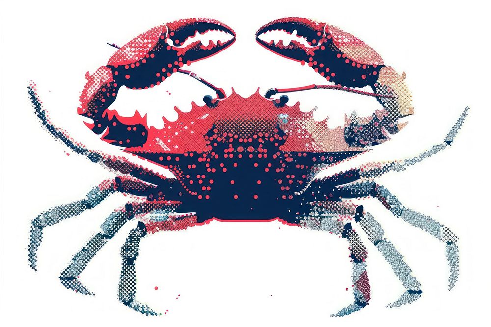 Crab invertebrate seafood animal.