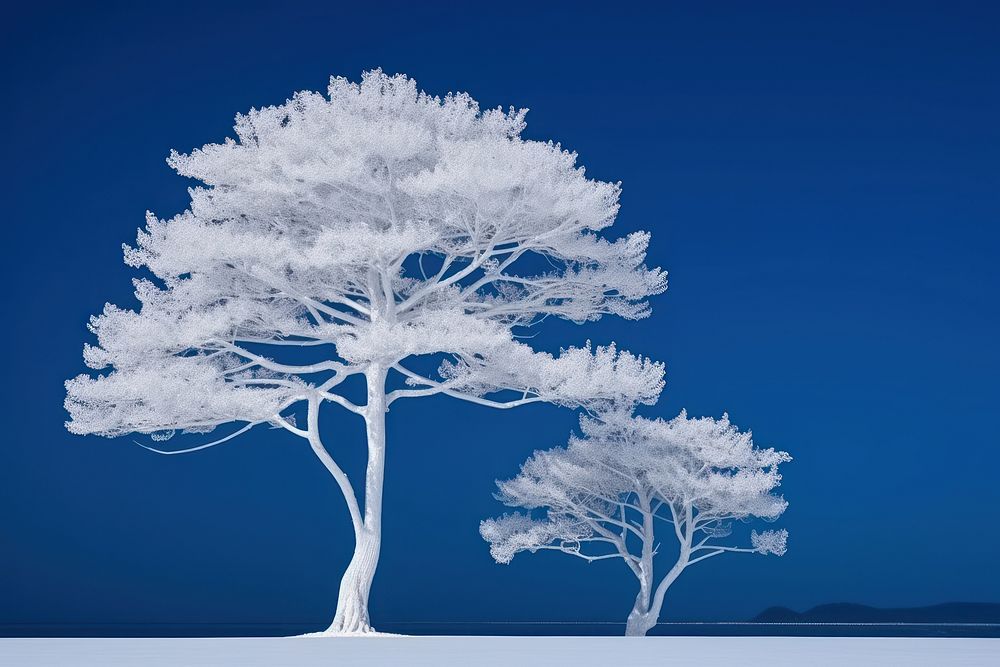 High contrast ivory white outdoors weather scenery.