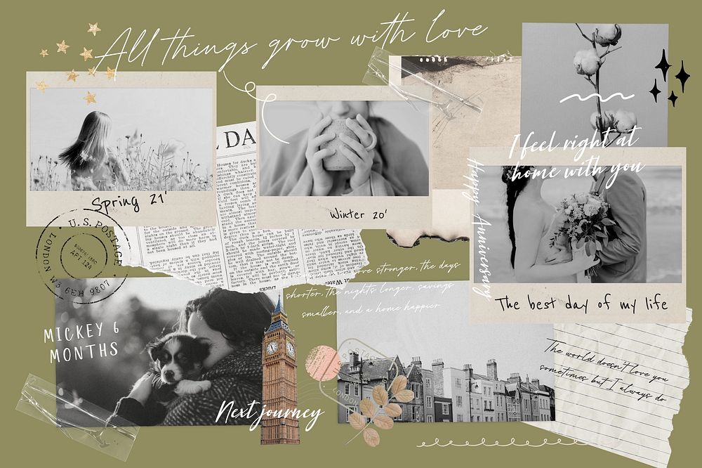 Aesthetic green lifestyle mood board  collage