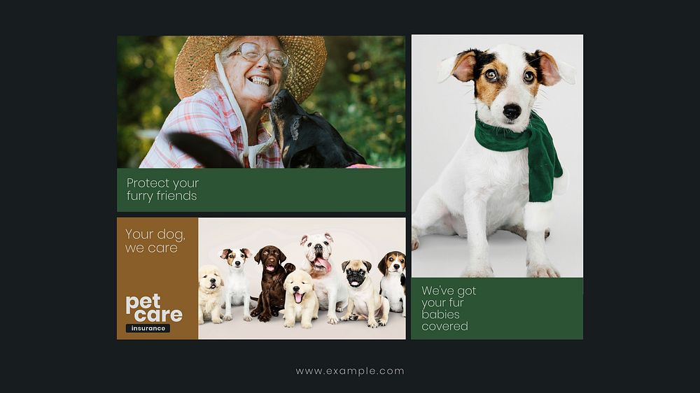 Pet insurance presentation template, editable design