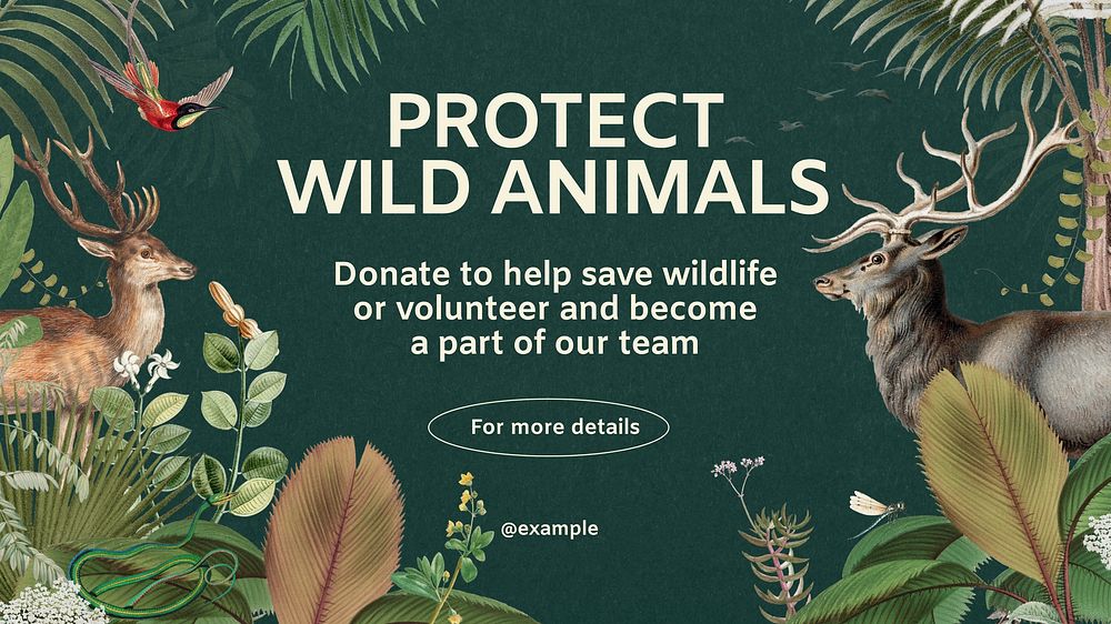 Protect wildlife blog banner template  design