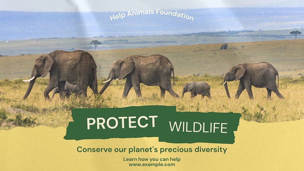 Protect wildlife  blog banner template  