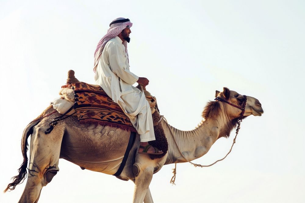Middle east male Traveler riding camel parade clothing footwear apparel.