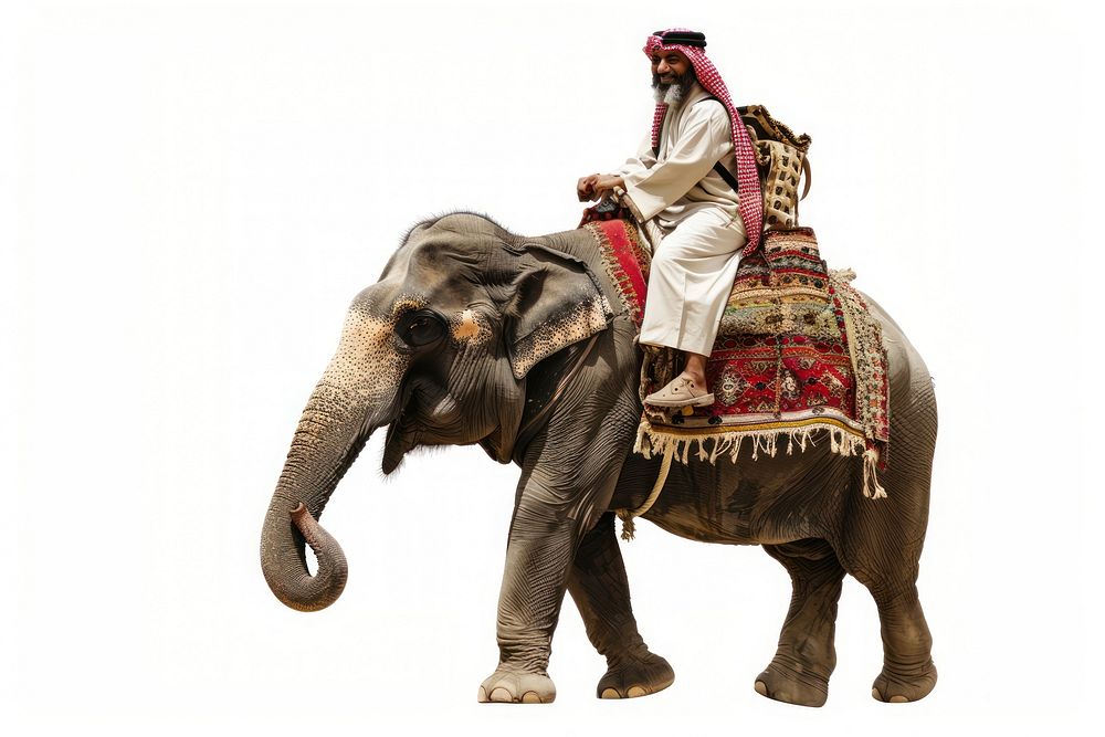 Middle east male Traveler riding elephant wildlife person animal.