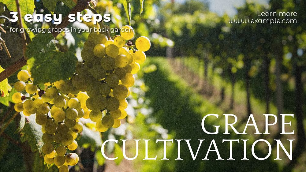 Grape cultivation blog banner template