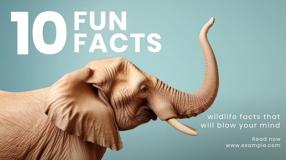 Fun facts blog banner template