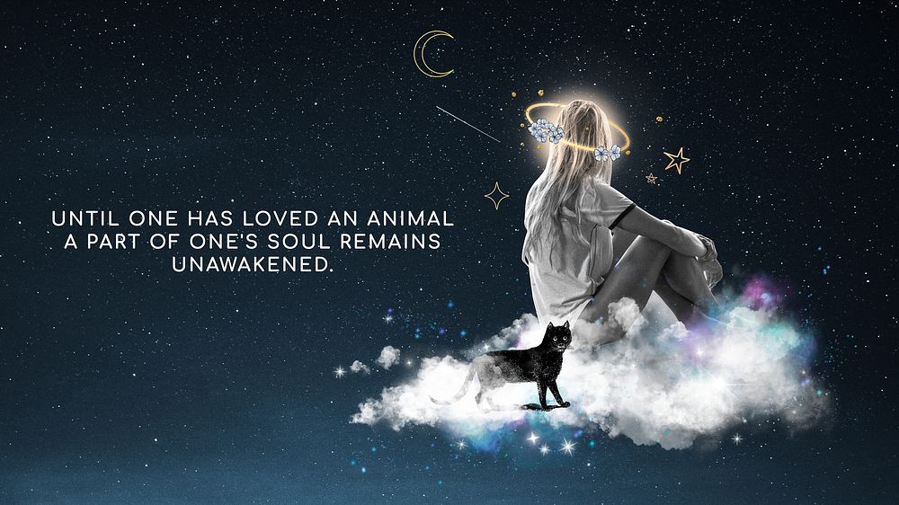 Pet quote blog banner template