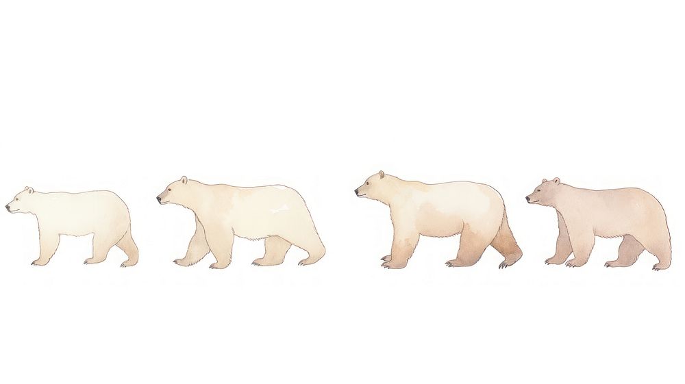 Bears as divider watercolor wildlife animal mammal.
