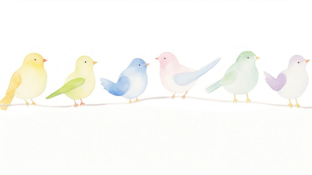 Birds as divider watercolor animal pigeon canary.