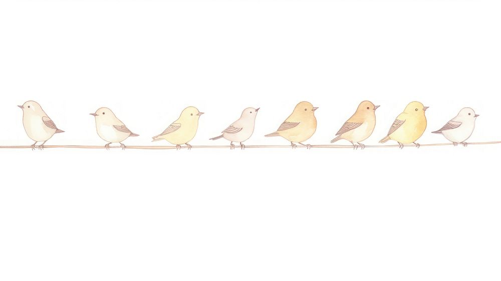 Birds as divider watercolor animal canary finch.