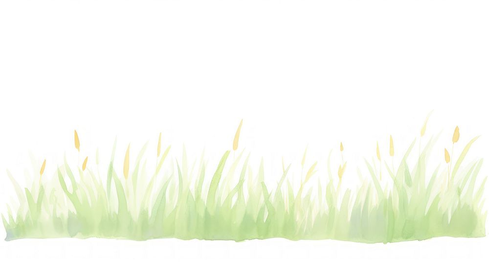 Grass as divider watercolor vegetation blossom flower.