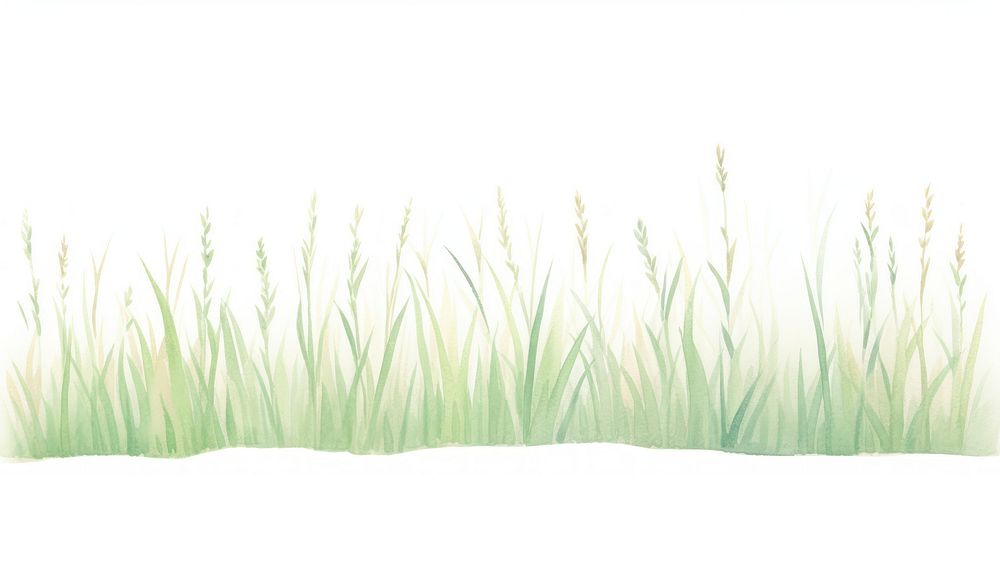 Grass as divider watercolor vegetation outdoors nature.