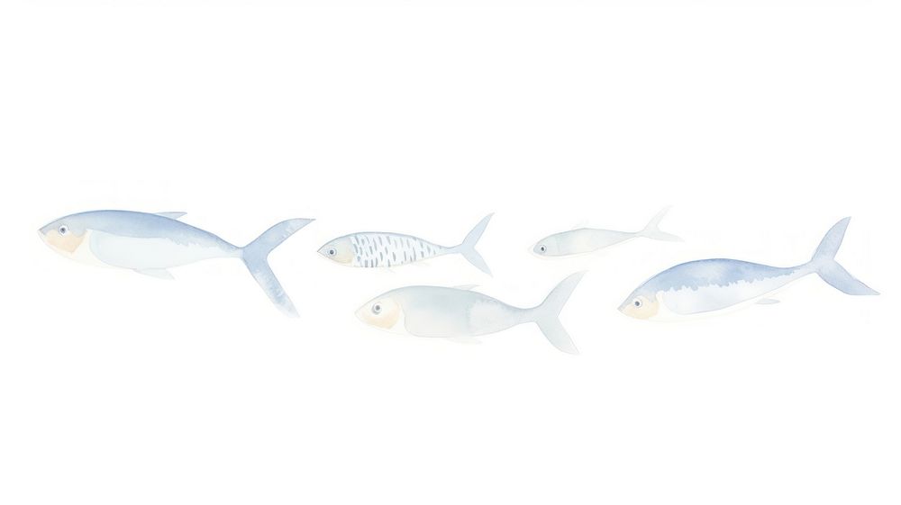 Fishes as divider watercolor seafood aquatic herring.