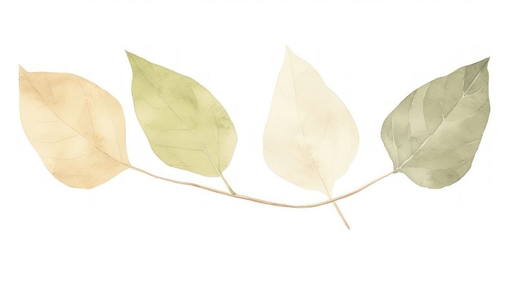 Leaves as divider watercolor produce herbal animal.