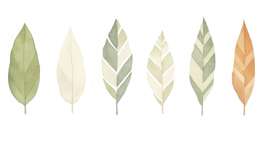 Leaves as divider watercolor accessories accessory plant.