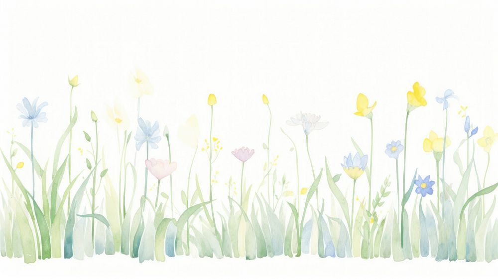 Spring as divider watercolor asteraceae graphics painting.