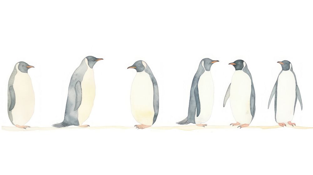 Penguins as divider watercolor animal bird king penguin.