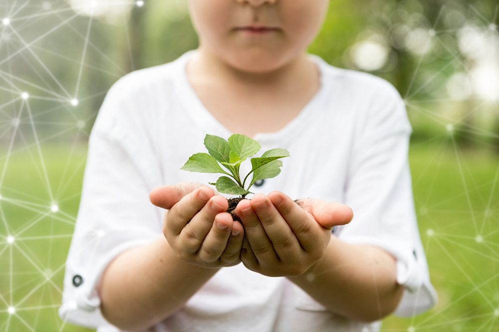 Little boy holding a plant