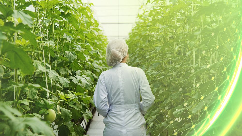 Scientist walking through a greenhouse aisle