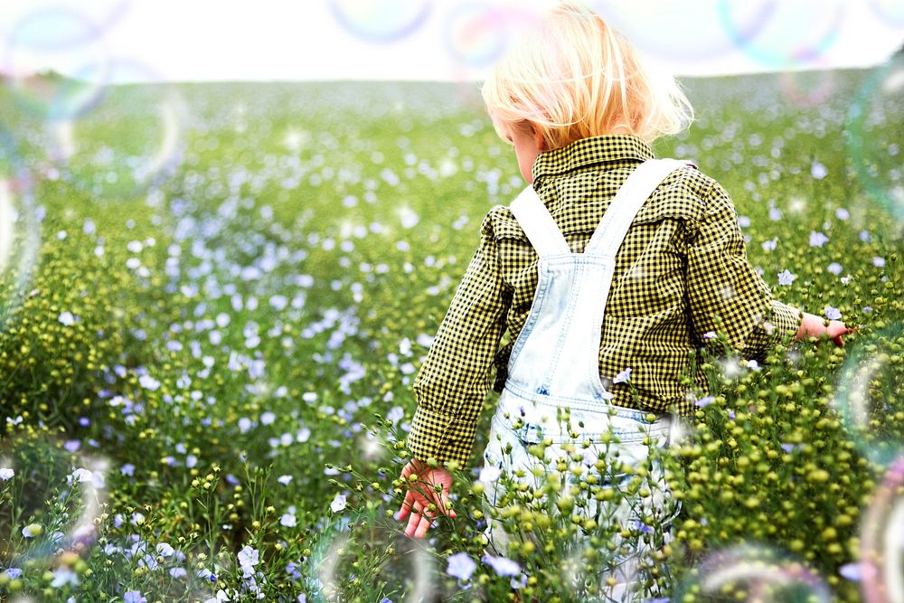 Little boy in a flower field