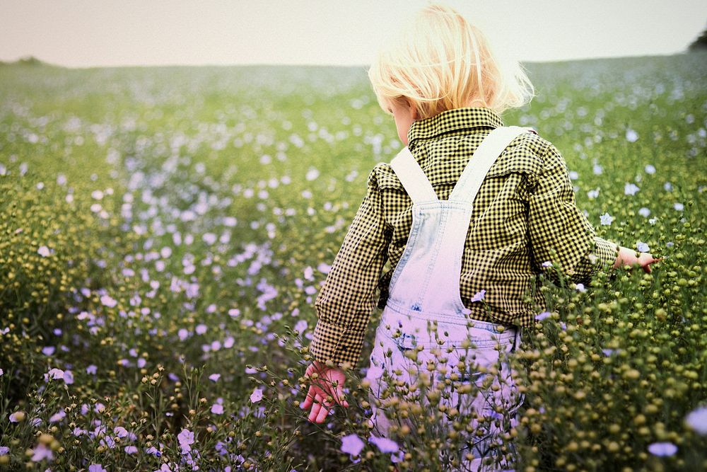Little boy in a flower field