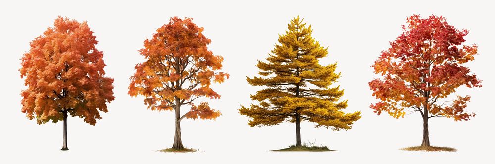 Autumn trees element set