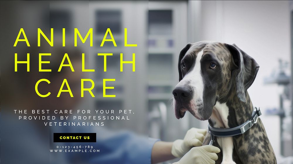 Animal health care blog banner template