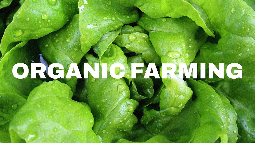 Organic Farming blog banner template