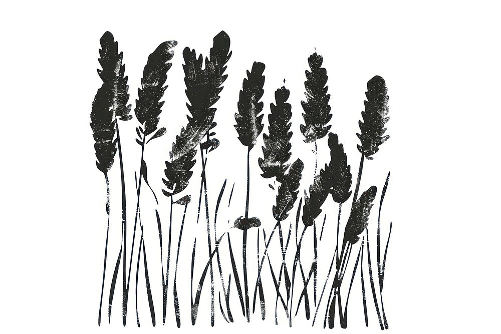 Wheat field illustrated silhouette agropyron.