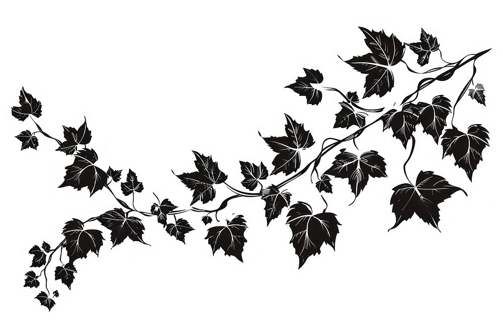 Ivy vine silhouette stencil plant.