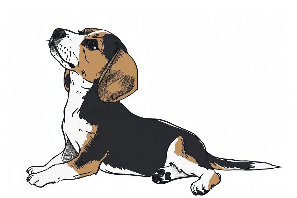 Beagle dog face animal canine.