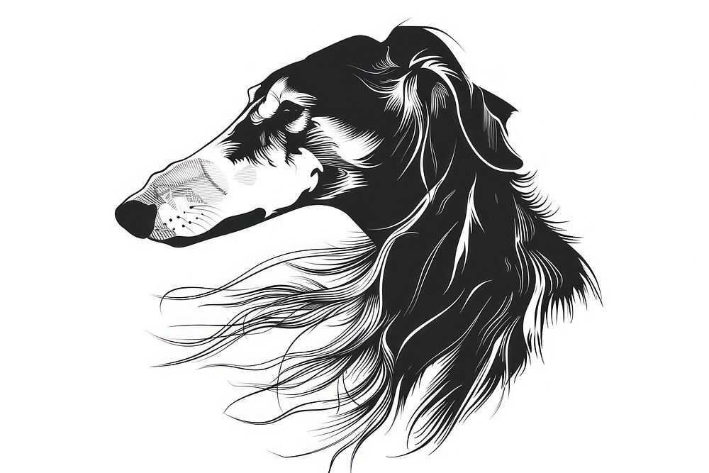 Borzoi dog illustrated drawing animal.