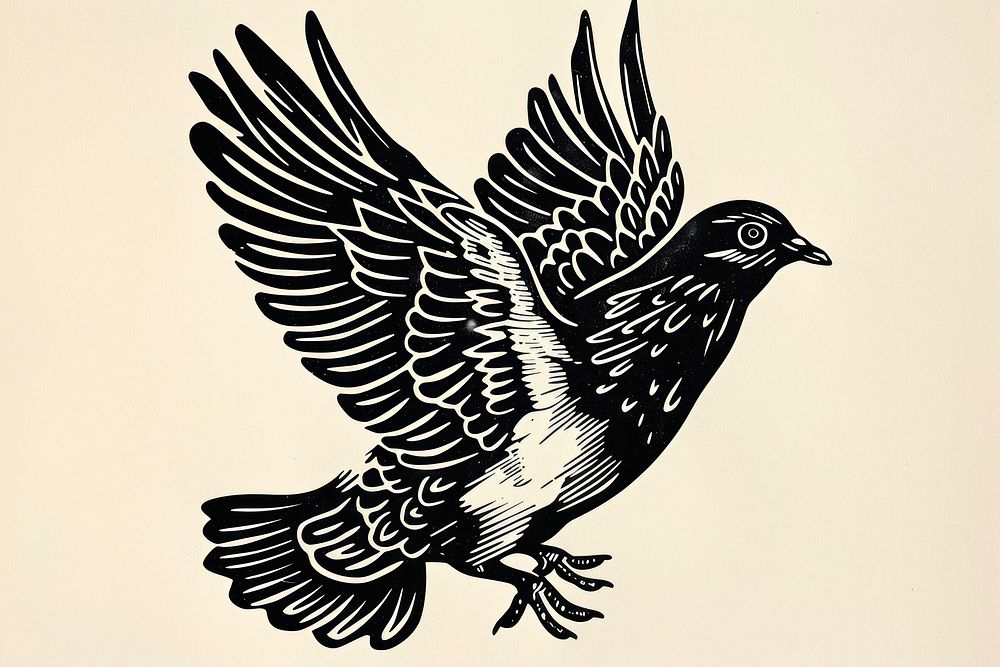 Dove blackbird agelaius stencil.