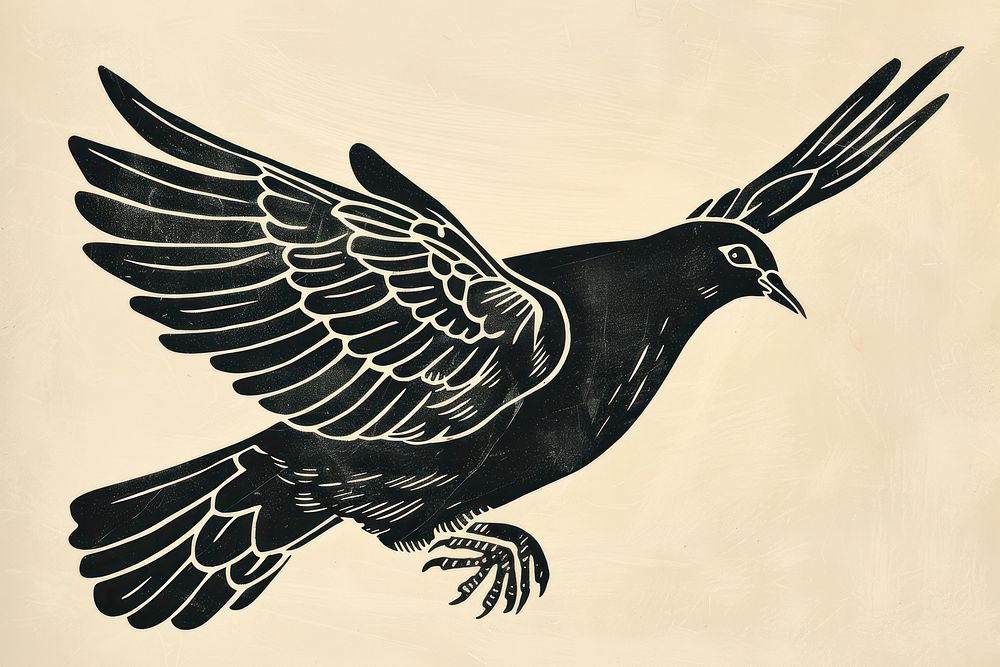 Dove blackbird agelaius animal.