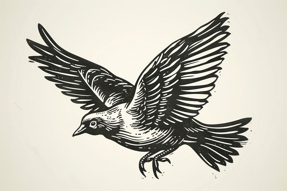 Dove illustrated stencil drawing.