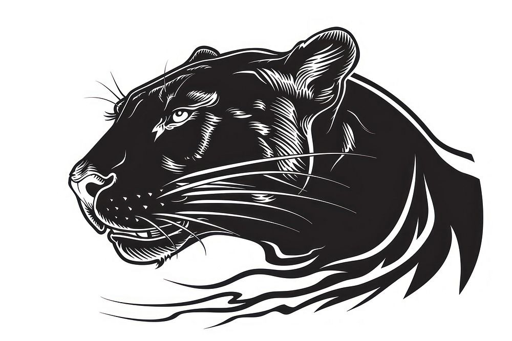 Panther illustrated wildlife leopard.