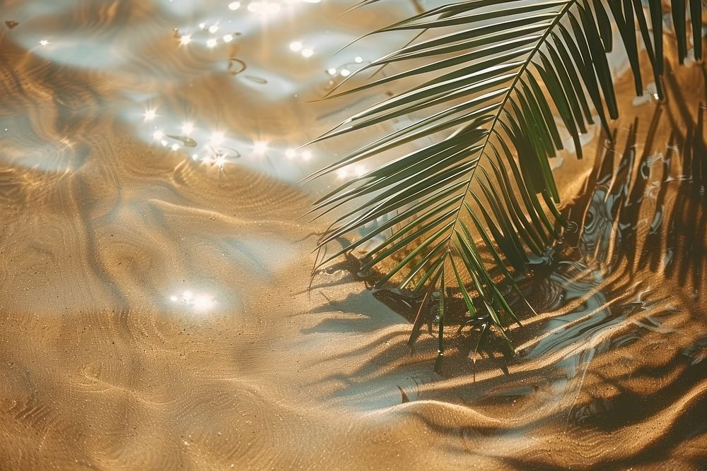 Aesthetic brown sand beach wallpaper water outdoors scenery.