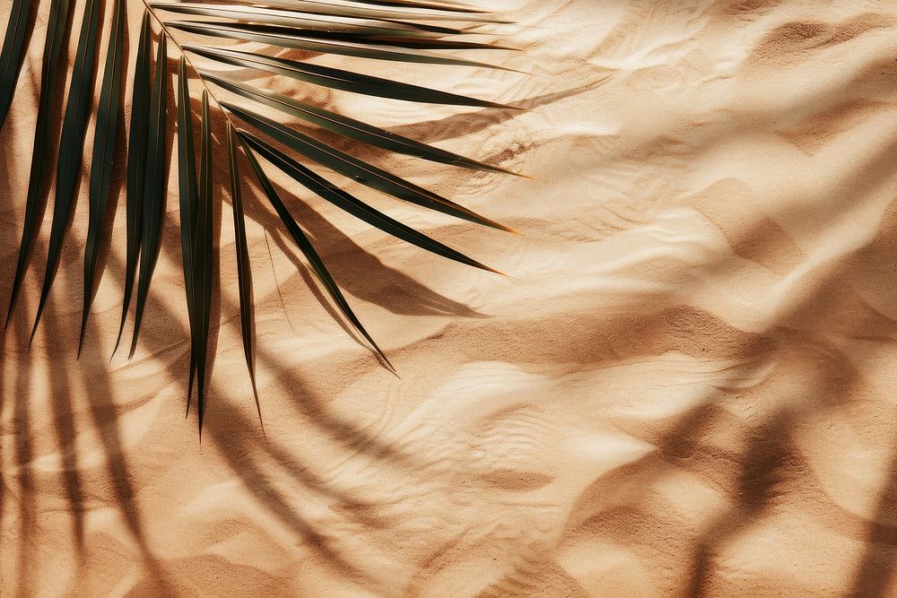 Aesthetic brown sand beach wallpaper outdoors nature desert.